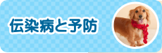 予防接種　料金