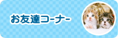 チームやまざき　仲間のページ