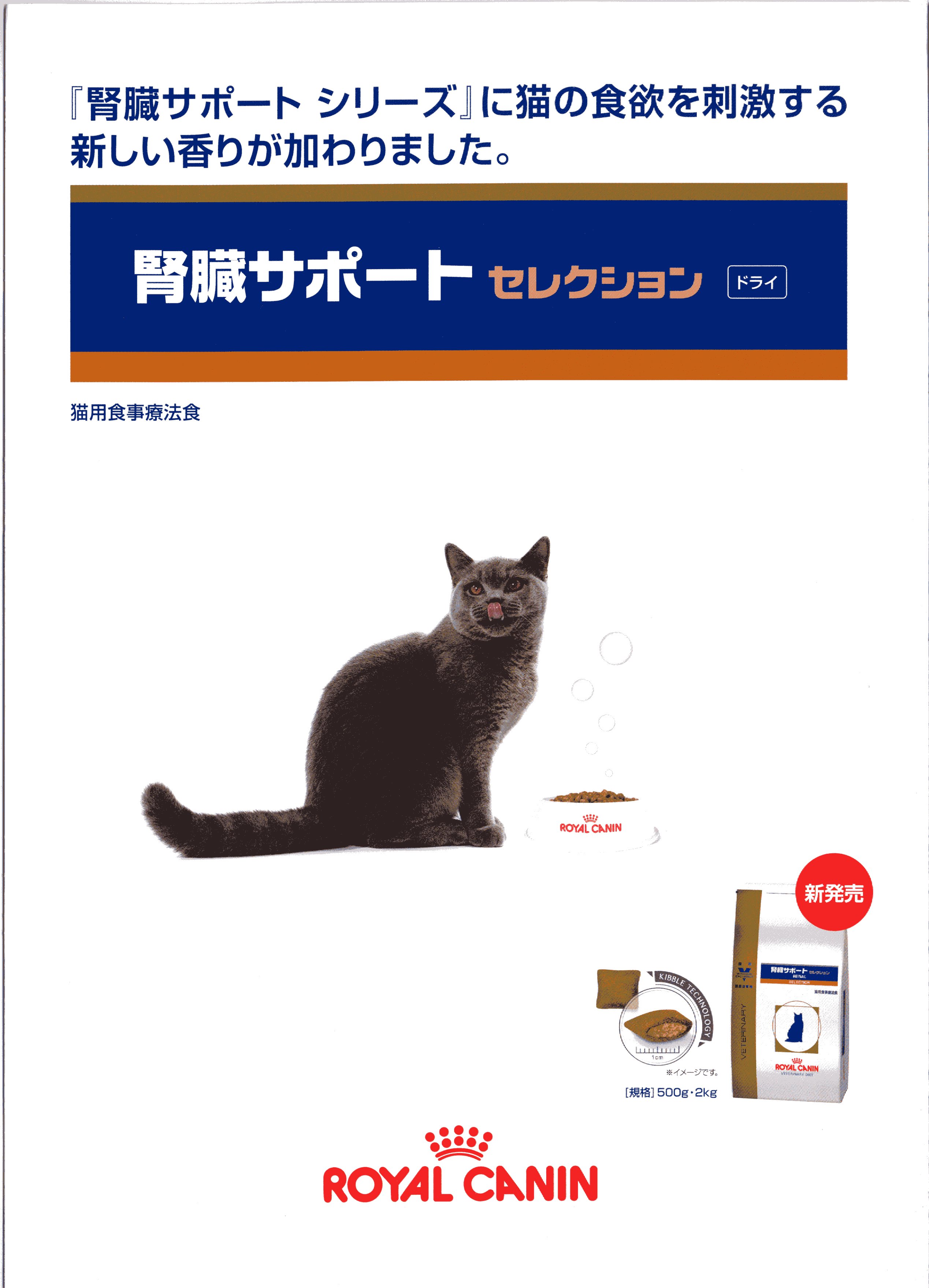 開催中 猫用 エイジングケア ドライ